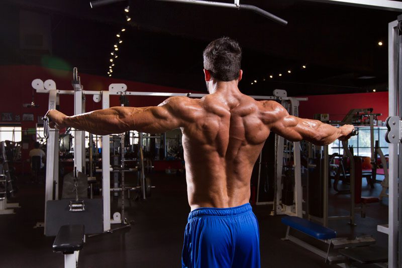 Sergi Constance's Back Workout